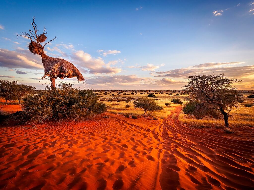 7 Amazing Places to Visit in Namibia
