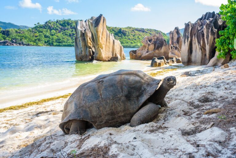 Top seven historical landmarks in Seychelles