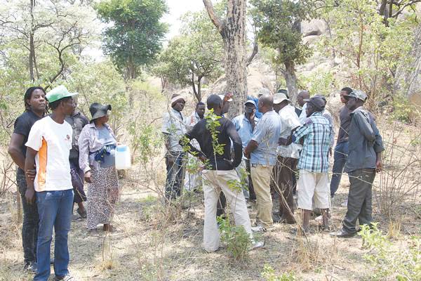 Chinese company gives Zimbabwean villagers a three months ultimatum to vacate their ancestral land