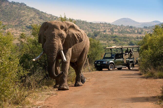 Top 7 places to experience Memorable adventures in South Africa
