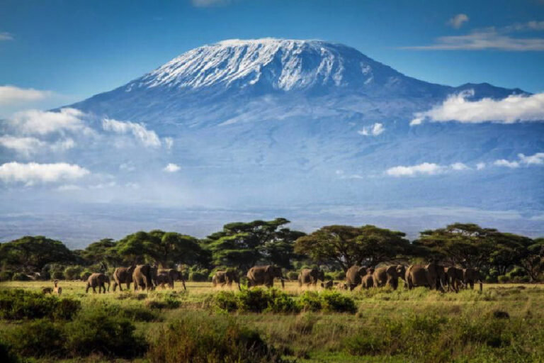 Top 10 Highest Mountains In Africa