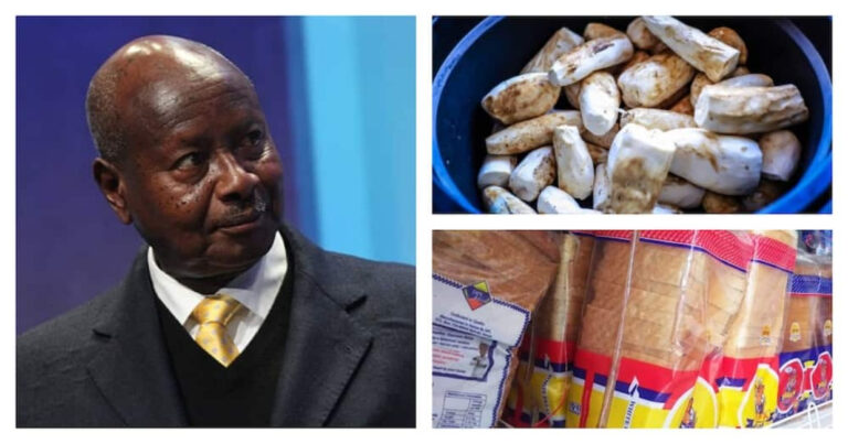 Ugandan President Encourages Citizens To Eat Cassava Instead Of Bread