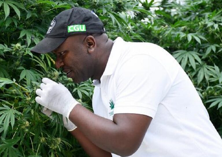 Benjamin Cadet: Owner Of The Only Company Licensed To Export Cannabis In Uganda