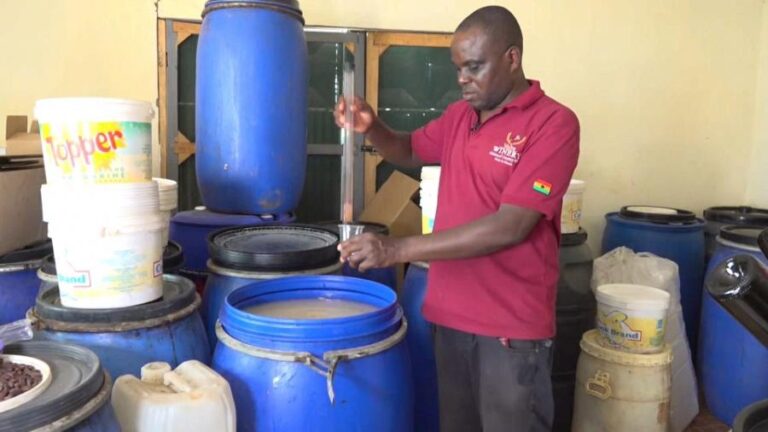 Volta Winery: The Ghanaian Company Making Wine From Cocoa