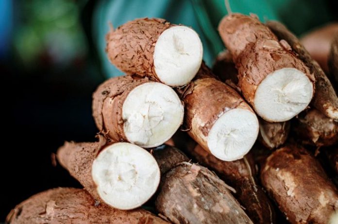 10 Most Produced Cash Crops In Africa | I Love Africa