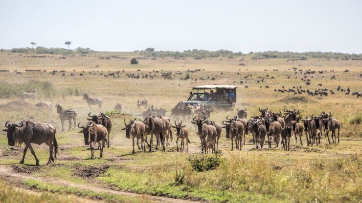 10 Best Safaris in Africa