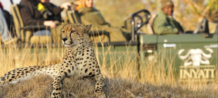 10 Best Safaris in Africa