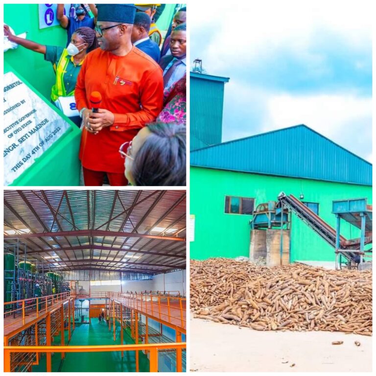 Nigerian State Inaugurates First Cassava-Based Sorbitol Factory In Africa