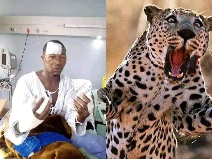 South African Man, Ndumiso Mona, Fights and Kills Leopard With His Bare Hand