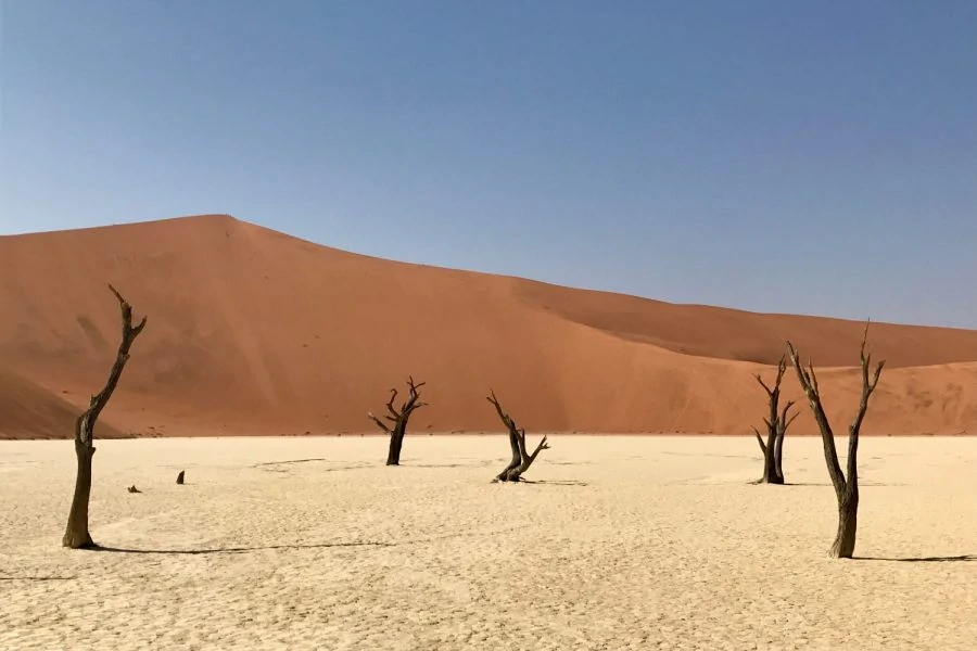 Namibia, 5 fun facts you should know