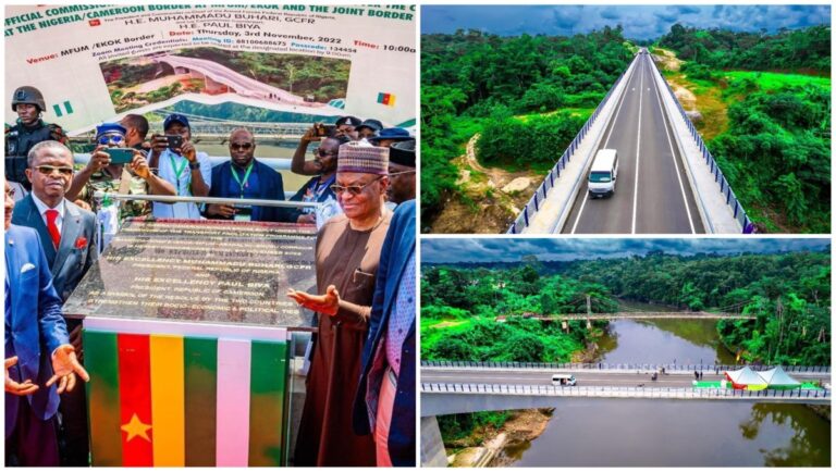 Nigeria, Cameroon Inaugurate 1.5km Mfum Joint Border Bridge in Cross River