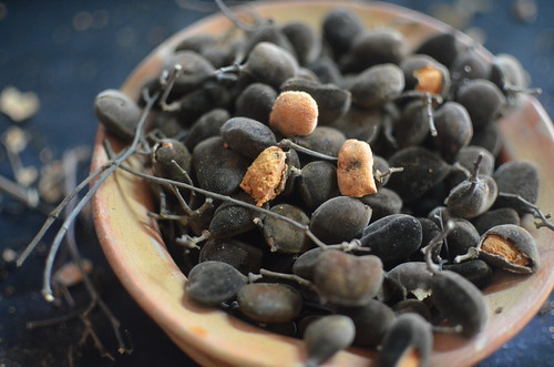 15 Amazing African Fruits To Try