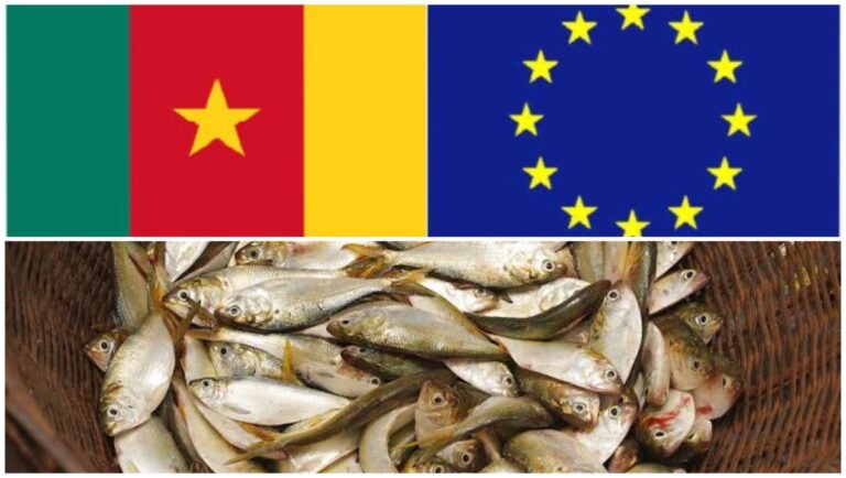 Cameroonian Fishery Products Banned in EU, Commission Says