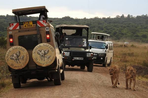 Kenya’s Tourism Earnings Surge 83% as Foreign Travel Rebounds