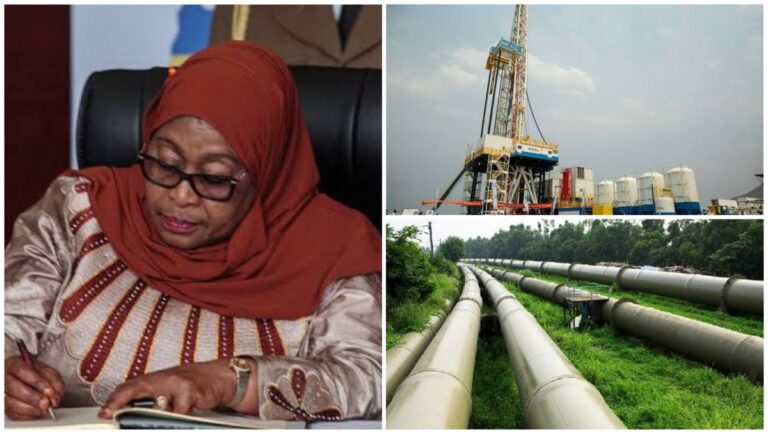 Tanzania Commissions a Pipeline Project Worth $3.5 Billion