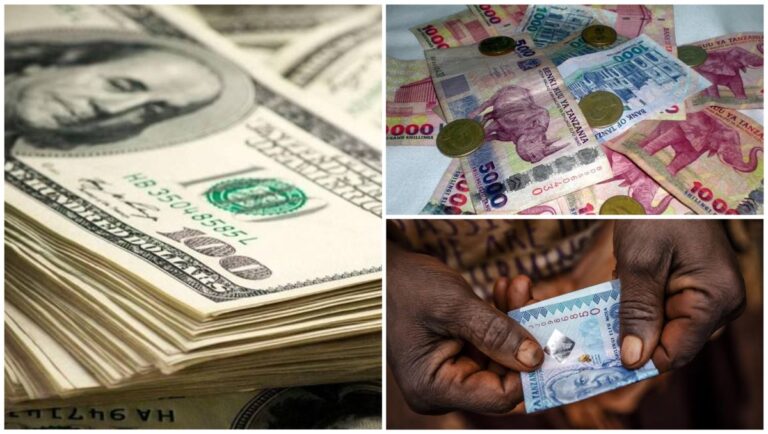 Tanzania And India Eliminate Use of US Dollars In Trade Between Both Nations