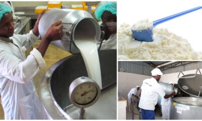 Kenya suspends ban imposed on powder milk imports