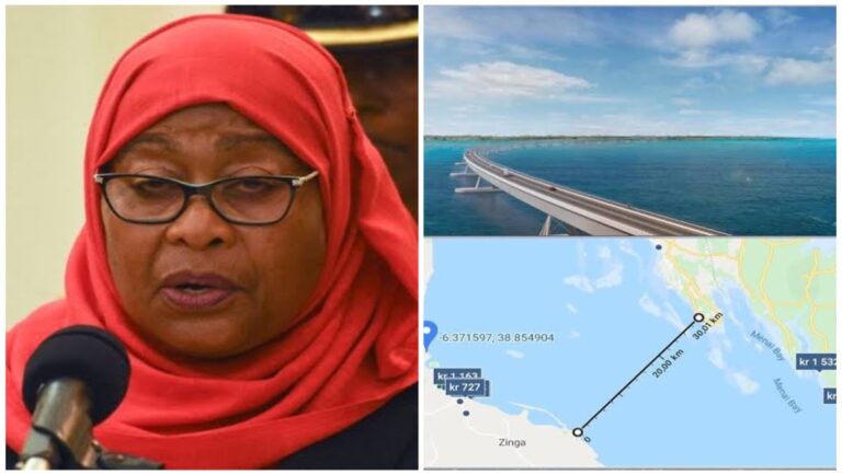 Tanzania to build 50km bridge connecting Dar es Salaam and Zanzibar