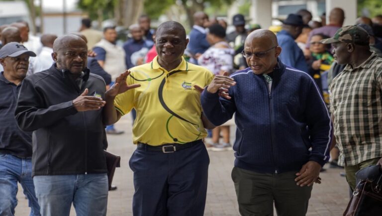 Outrage Erupts in South Africa as Deputy President’s Security Officers Engage in Brutal Assault