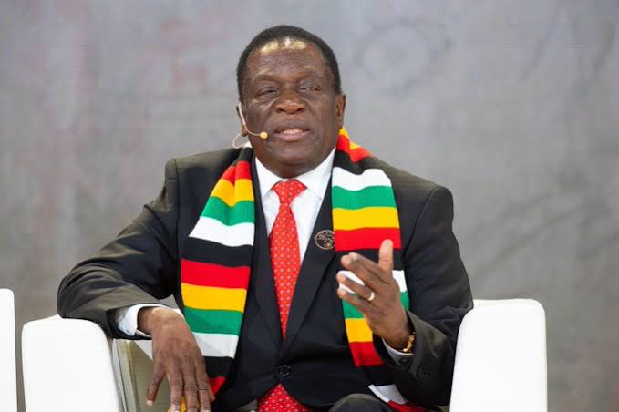 Zimbabwean President, Mnangagwa Appoints Son and Nephew as Deputy Ministers