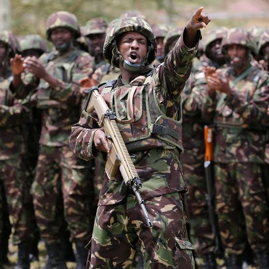 Kenyan Military Helicopter Crashes Near Somalia Border, Claiming Eight Lives