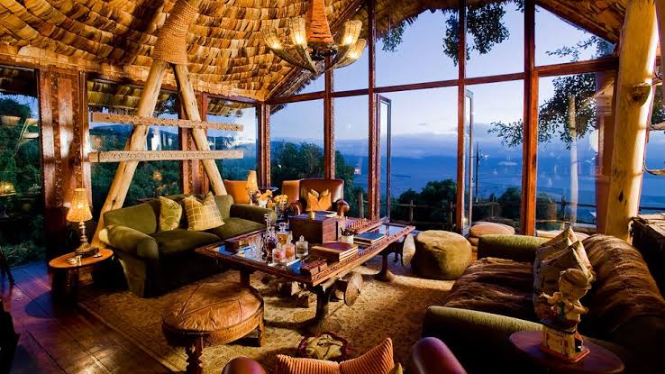 Luxury Safari Lodges: Where to Experience Africa's Best Wildlife Encounters