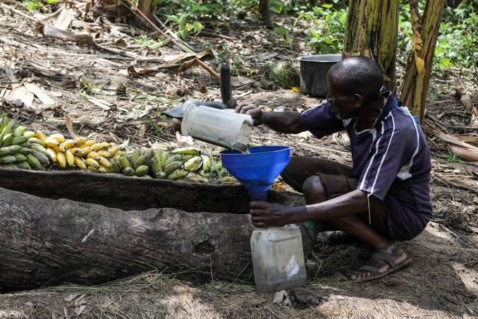 Uganda’s Beloved Tonto Drink Faces Threat of Extinction Amidst Brewing Regulations