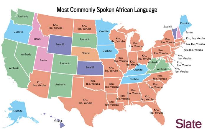 Unveiling Diversity: The Top Ten Most Popular Languages in Africa