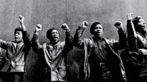 Black panthers