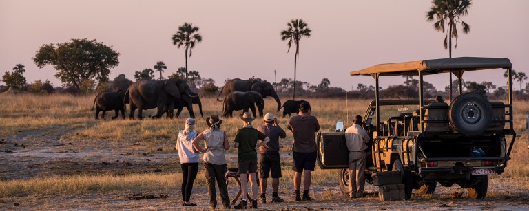 7 African Safari Destinations to Spend Your Holiday