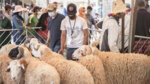 King Mohammed VI Urges Moroccans to Refrain from Slaughtering Sheep for Eid al-Adha