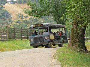 Amazing Facts About Safari in Nairobi