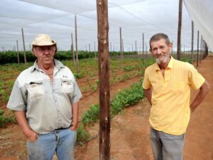 White Afrikaner Enclave in South Africa Seeks Trump’s Support for Autonomous Statehood