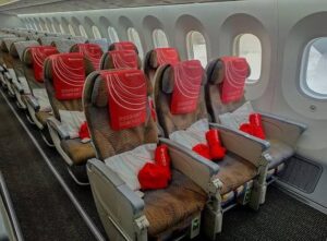 Kenya Airways Takes Off on Locally Made Jet Biofuel in Bid to Attract Green Investment