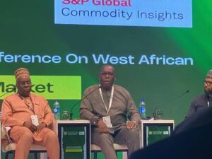 West African Nations Unite to Launch Single Fuel Price Framework to Curb Inflation