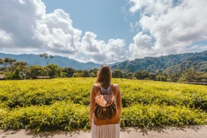 Where It’s Safest Solo-Female Travel in Africa 2025