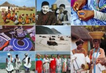 African Cultures in South Africa: Traditions, Languages, and Heritage african cultures in south africa